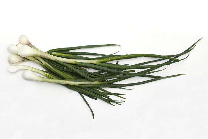 A bundle of dark green sprouted onions
