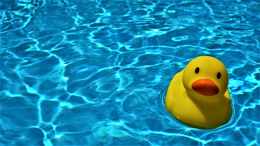 a yellow rubber duck floating in a pool