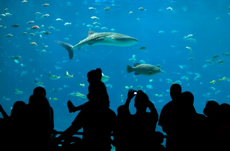 Crafting a remarkable guest experience through customized technology & thoughtful design