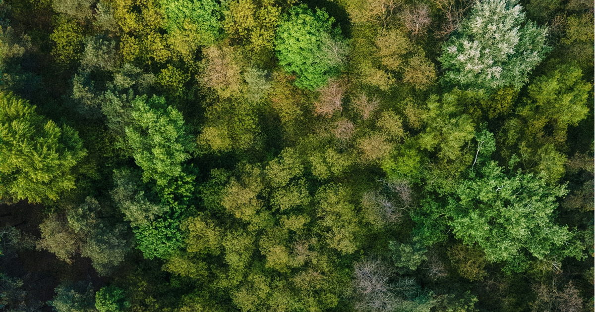 Atlanta-based marketing agency Alloy appoints Frances Riley as vice ...