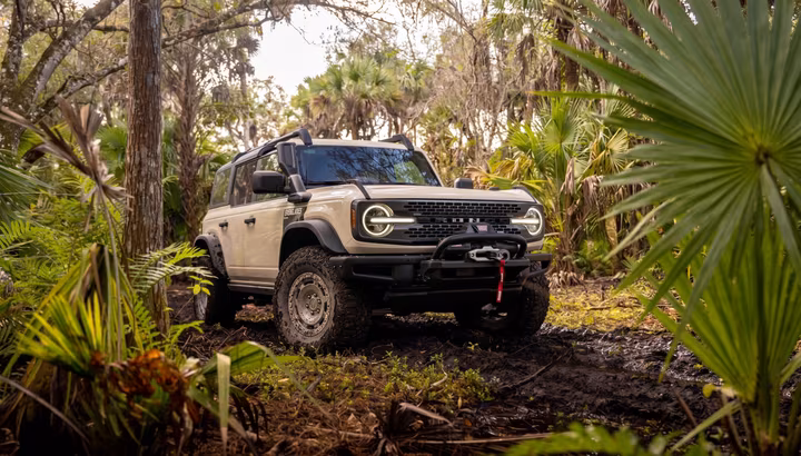 Bronco Everglades Edition