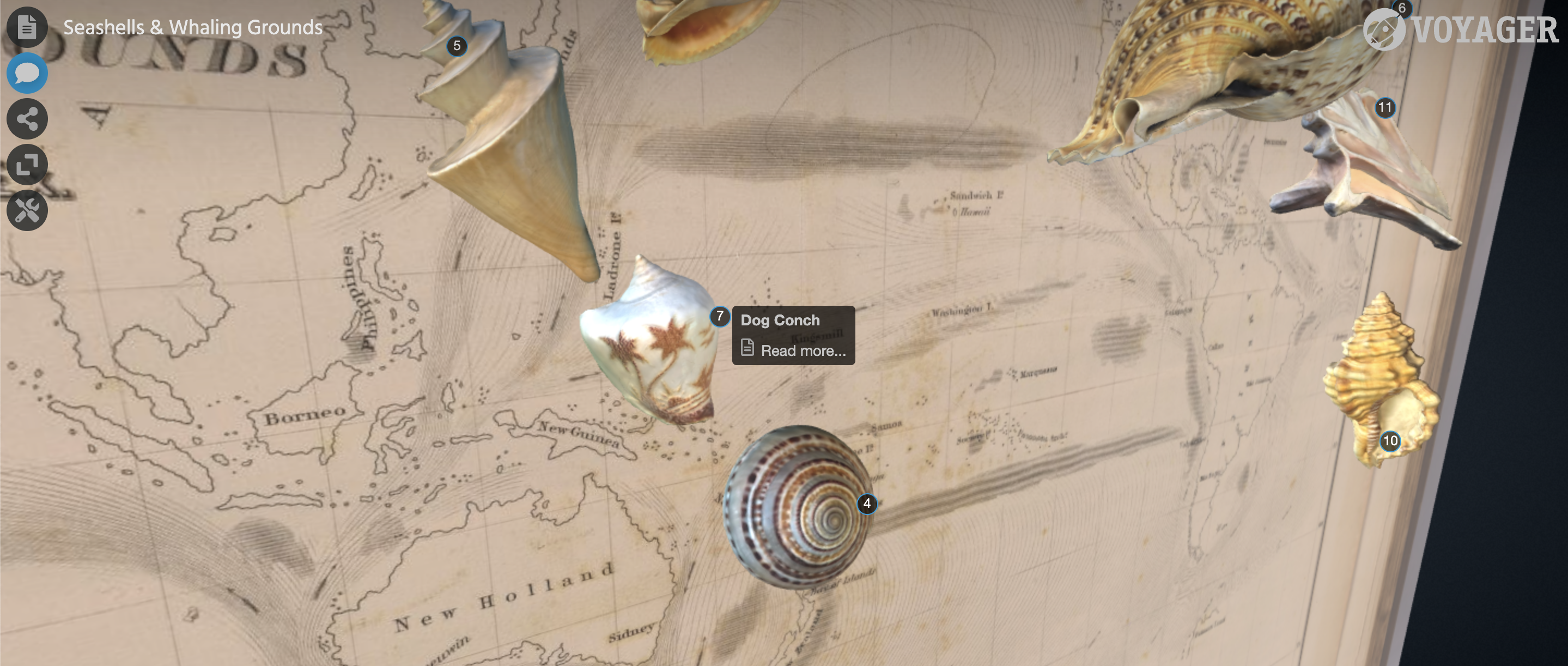 A screenshot of the digital exhibition Seashells & Whaling Grounds