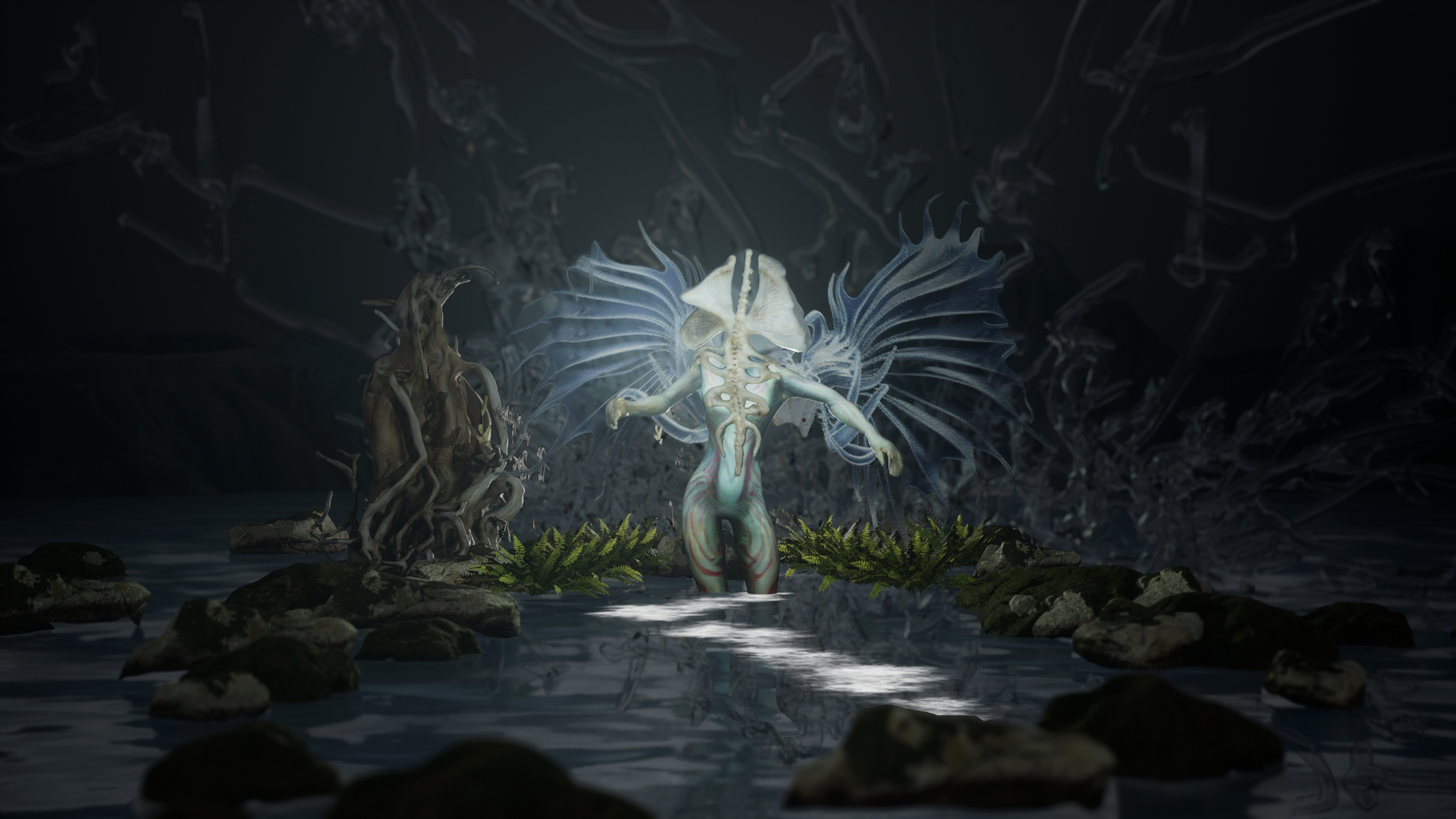 Aqua Limina