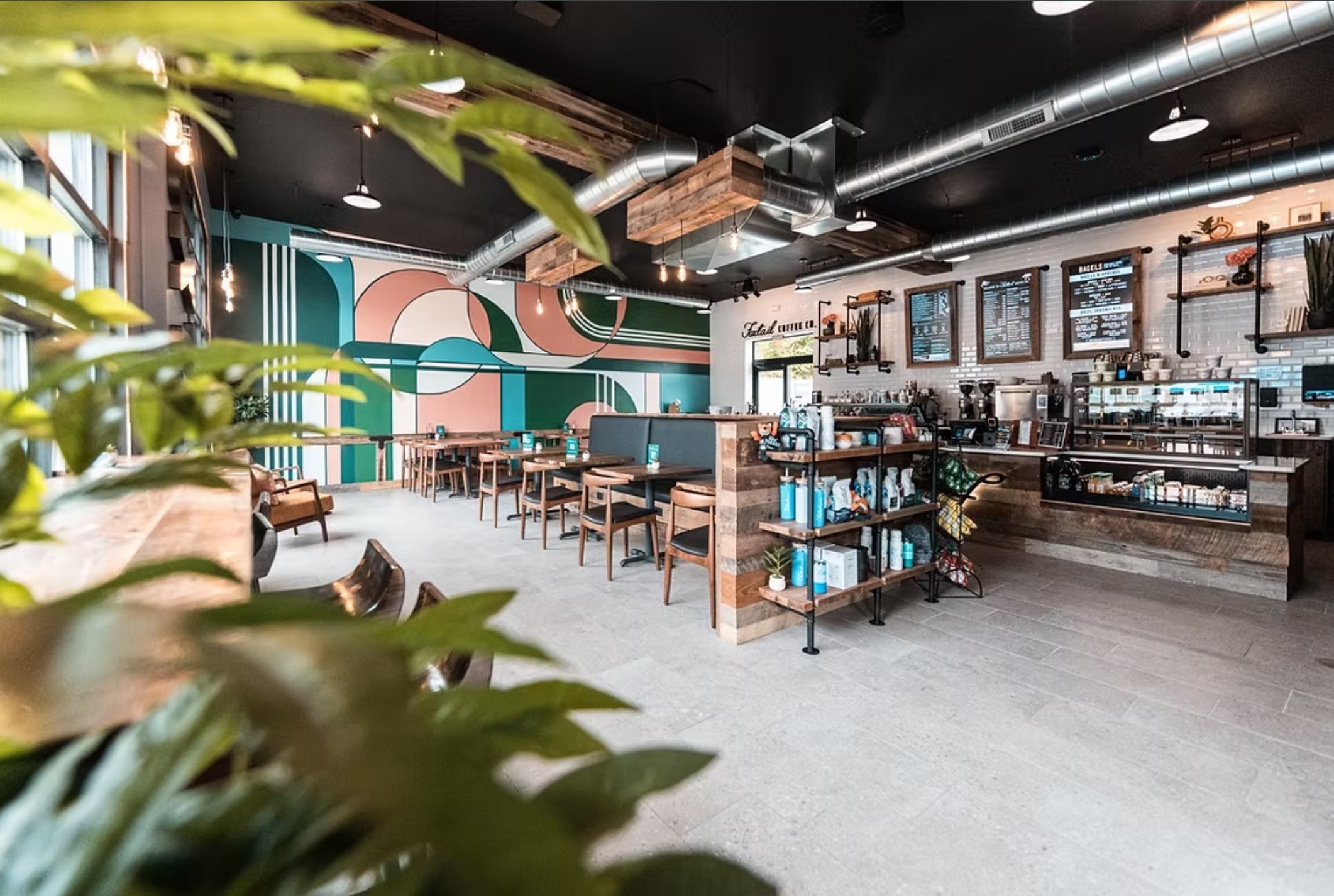 Foxtail Coffee Wealthy Street