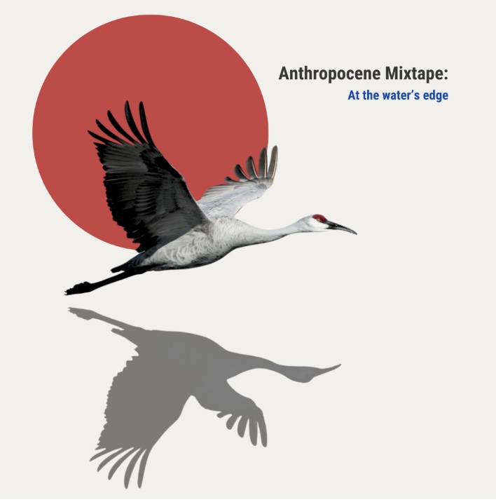 Anthropocene Mixtape: At the Water's Edge