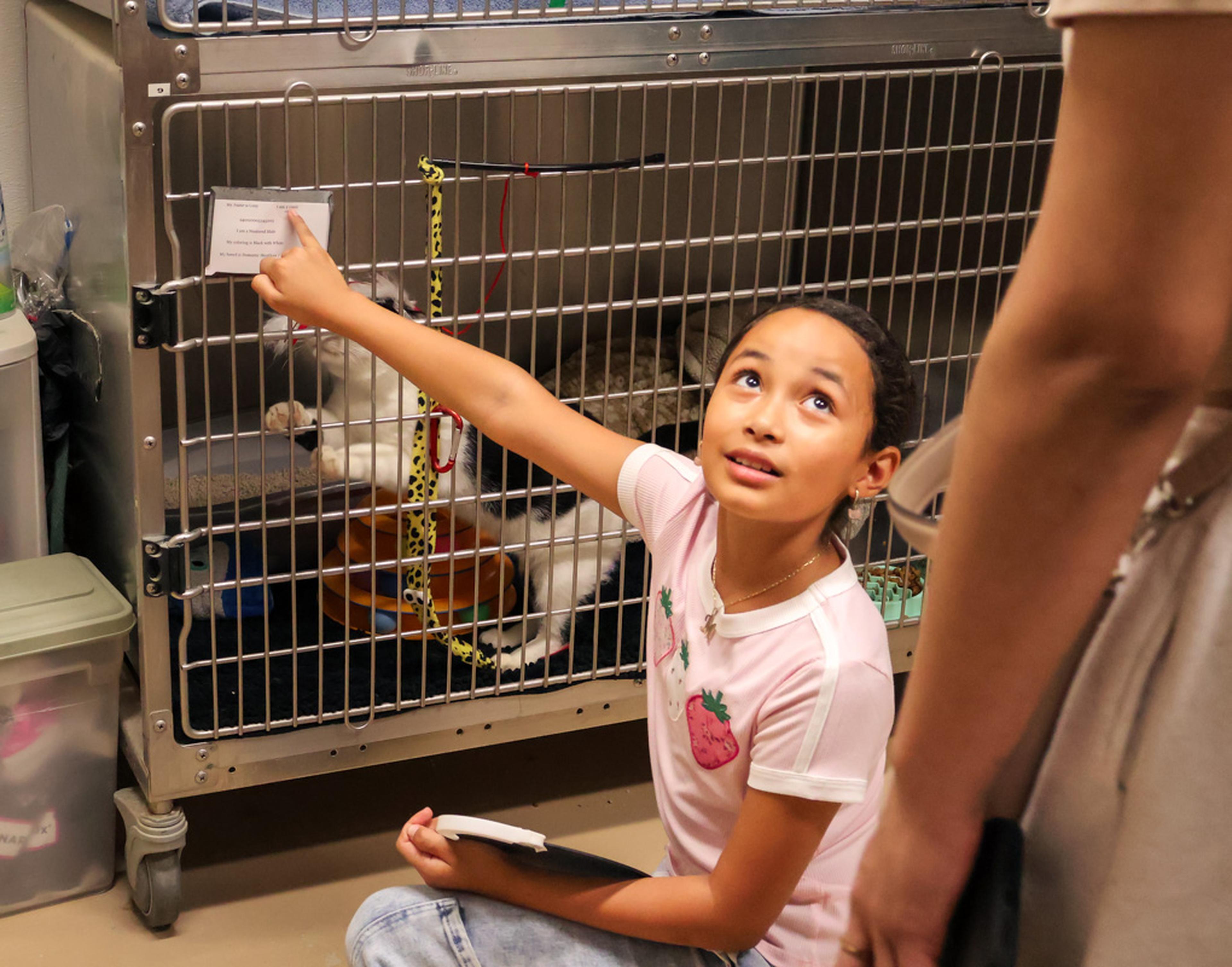 A young attendee takes a closer look at an adoptable cat’s information while visiting the Husband & Wife Law Team’s HALO Adoption Event, learning about pets waiting for their forever homes.