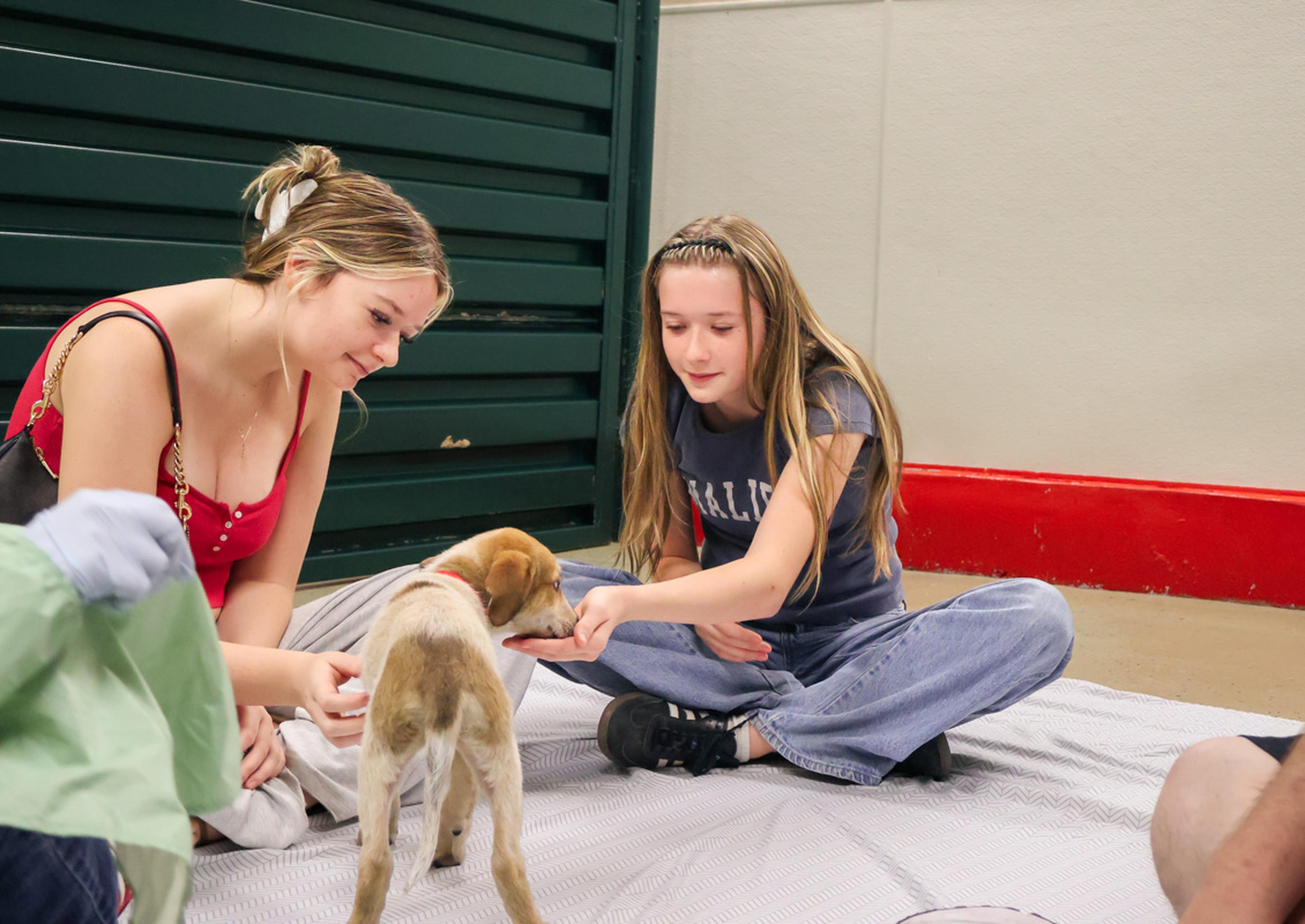 Two young animal lovers spend time with an adorable puppy at the Husband & Wife Law Team’s HALO Adoption Event, creating a heartwarming moment while learning about the joys of pet adoption.