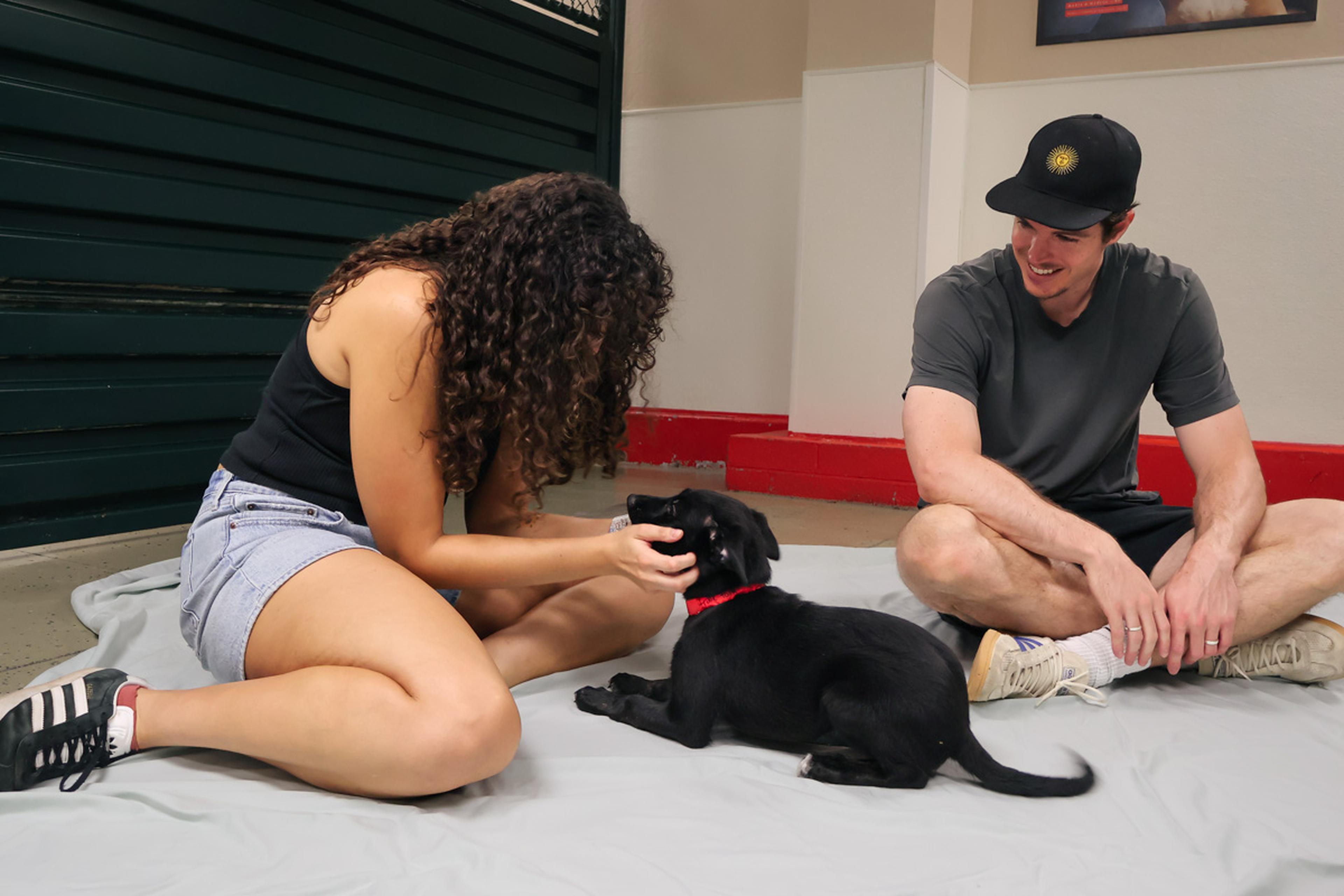 A couple spends quality time with an adorable puppy at the Husband & Wife Law Team’s HALO Adoption Event, getting to know a potential new best friend.