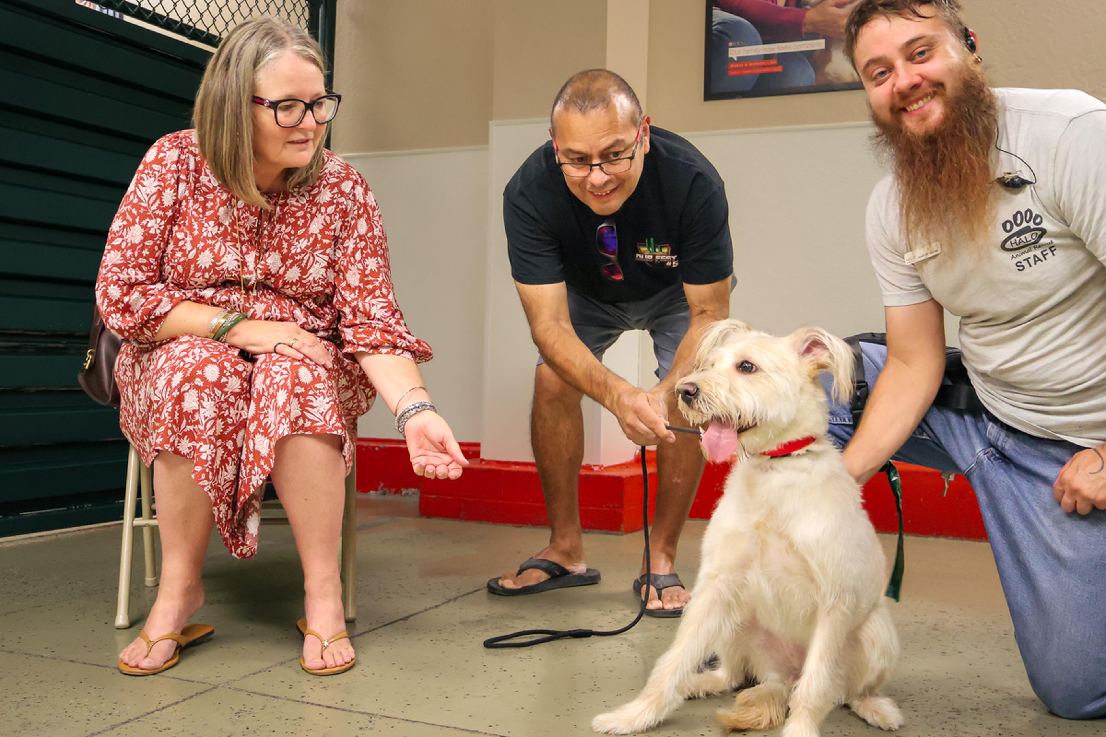 Three attendees spend time with an adoptable dog at the Husband & Wife Law Team’s HALO Adoption Event, sharing smiles and making connections that could lead to a loving forever home.