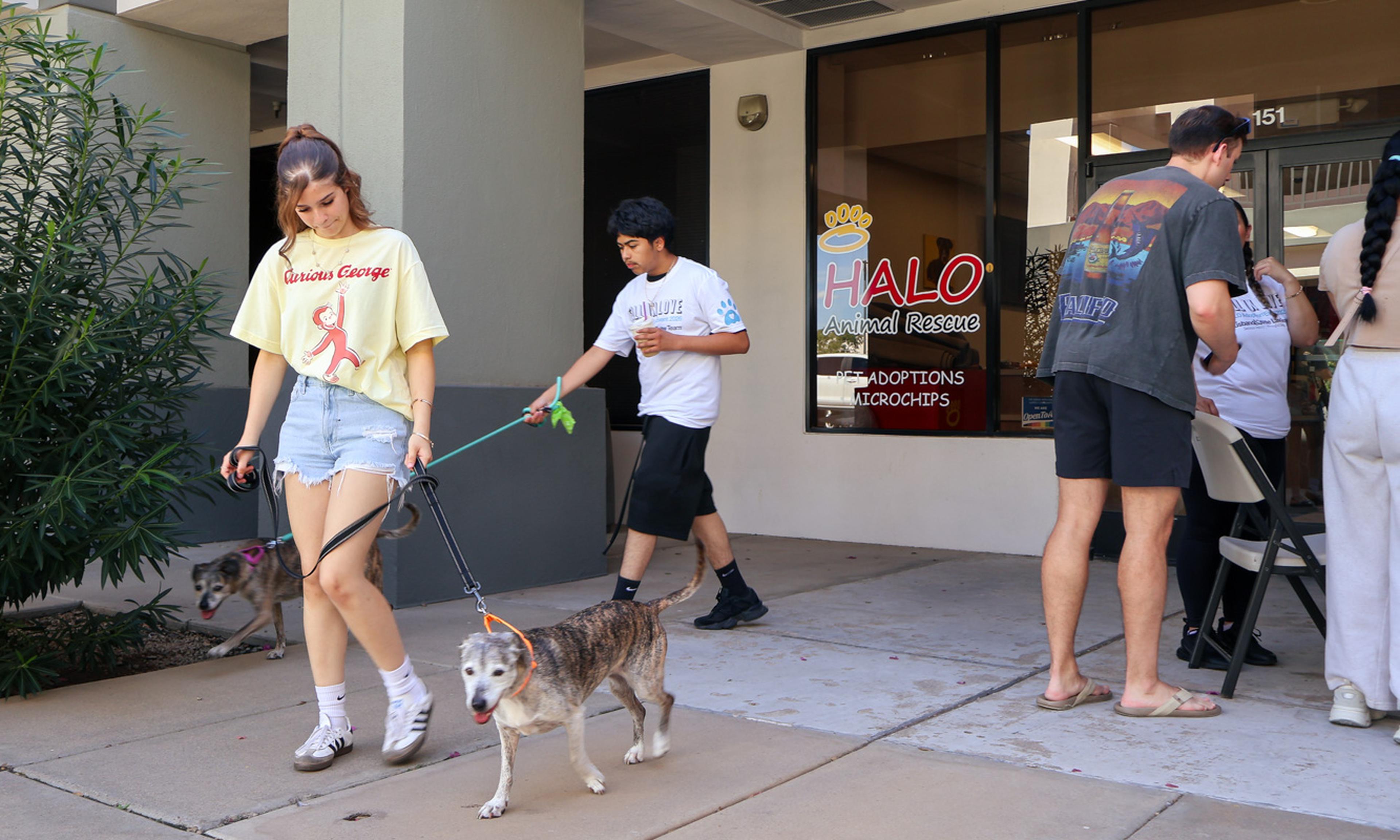 Husband & Wife Law Team volunteers walk adoptable dogs outside HALO Animal Rescue, helping pets get exercise, attention, and one step closer to finding their forever families.