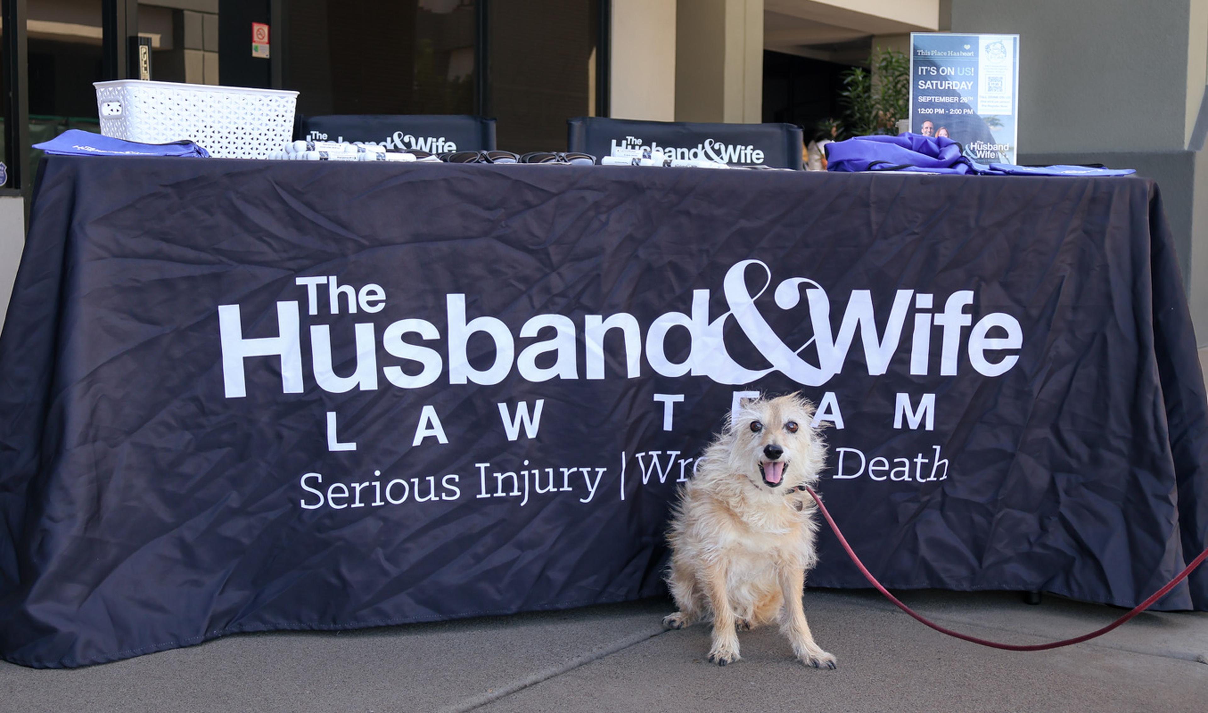 An adoptable dog greets visitors from in front of the Husband & Wife Law Team outreach table at the HALO Adoption Event, helping raise awareness for pets in search of loving forever homes.