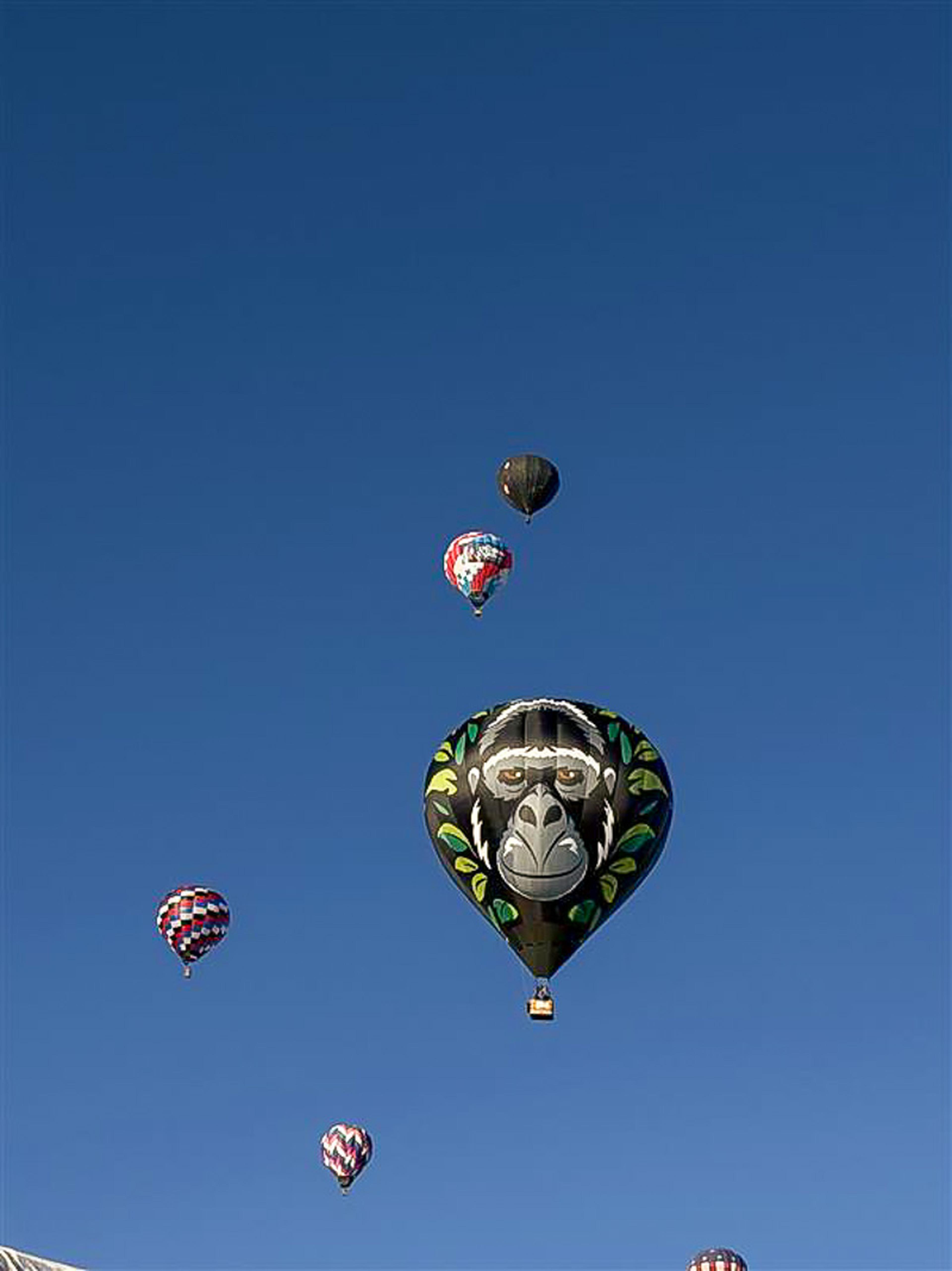 Colorful hot air balloons fill the Albuquerque sky, including an unforgettable special-shape balloon featuring a giant gorilla.