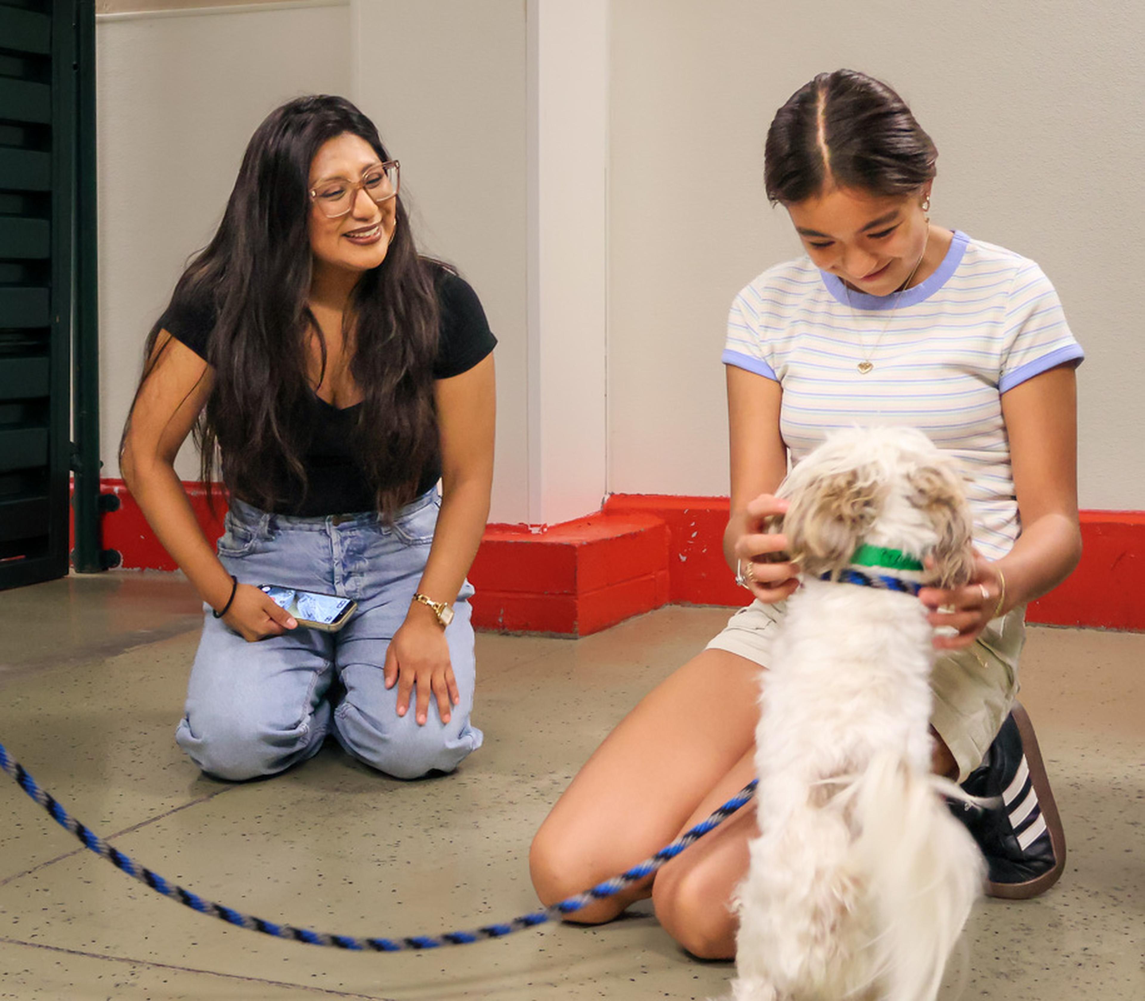 A small white dog steals the spotlight as attendees enjoy a special moment together at HALO Animal Rescue, supporting the mission of finding loving forever homes for pets in need.