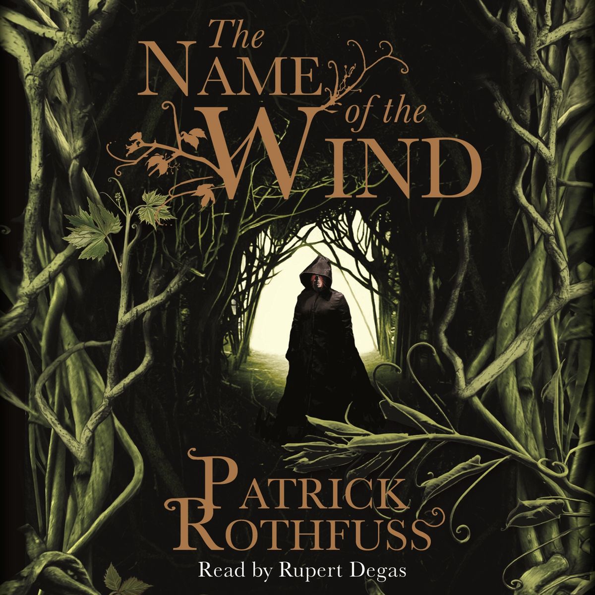 The Name of the Wind Audiobook