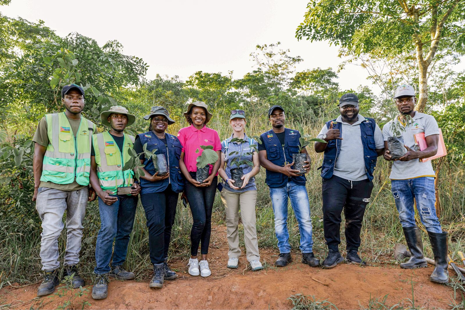 Catona Climate Partners with Trees for the Future to Promote