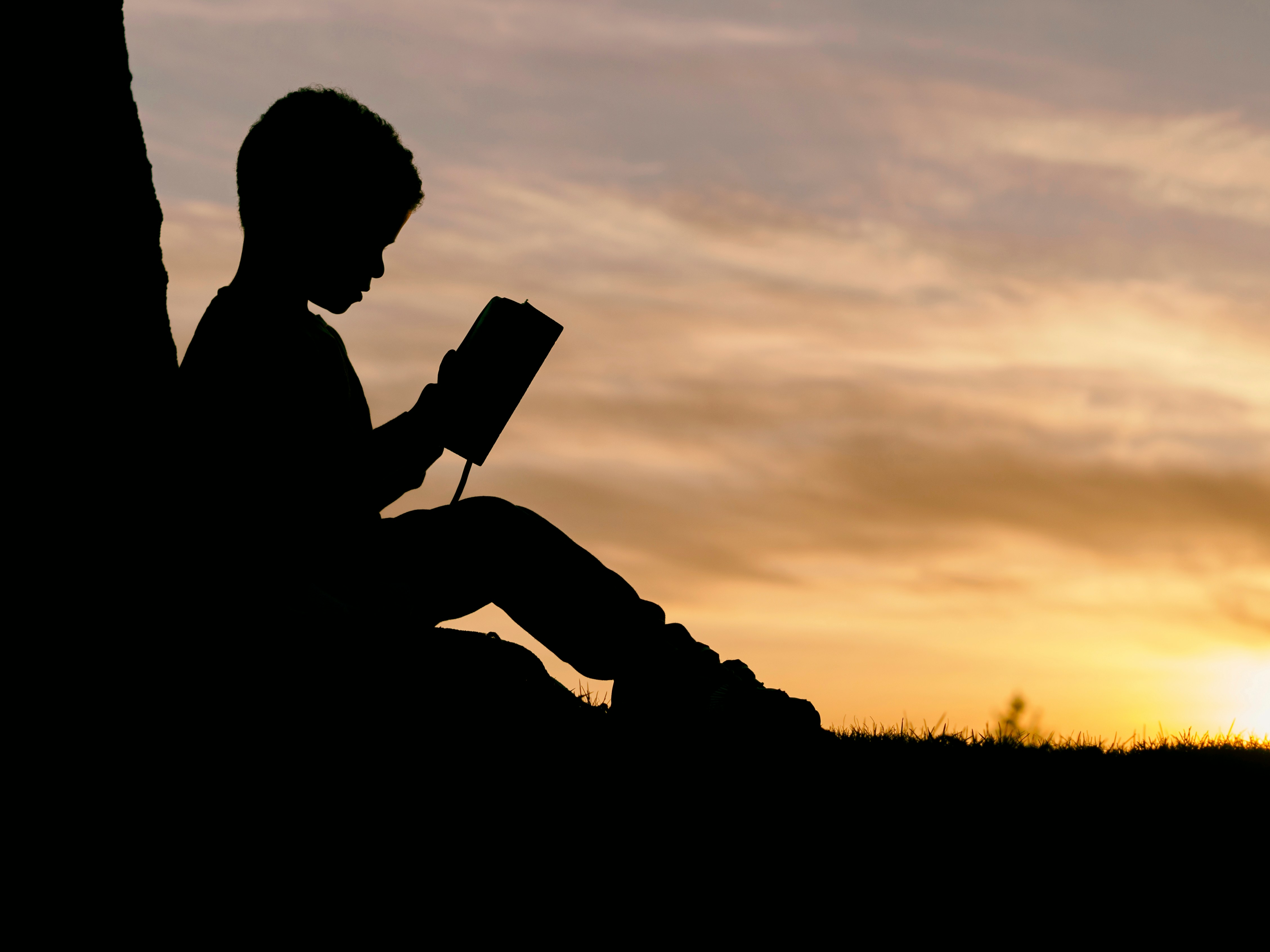Reading-problems