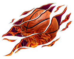 Chicagoland Basketball