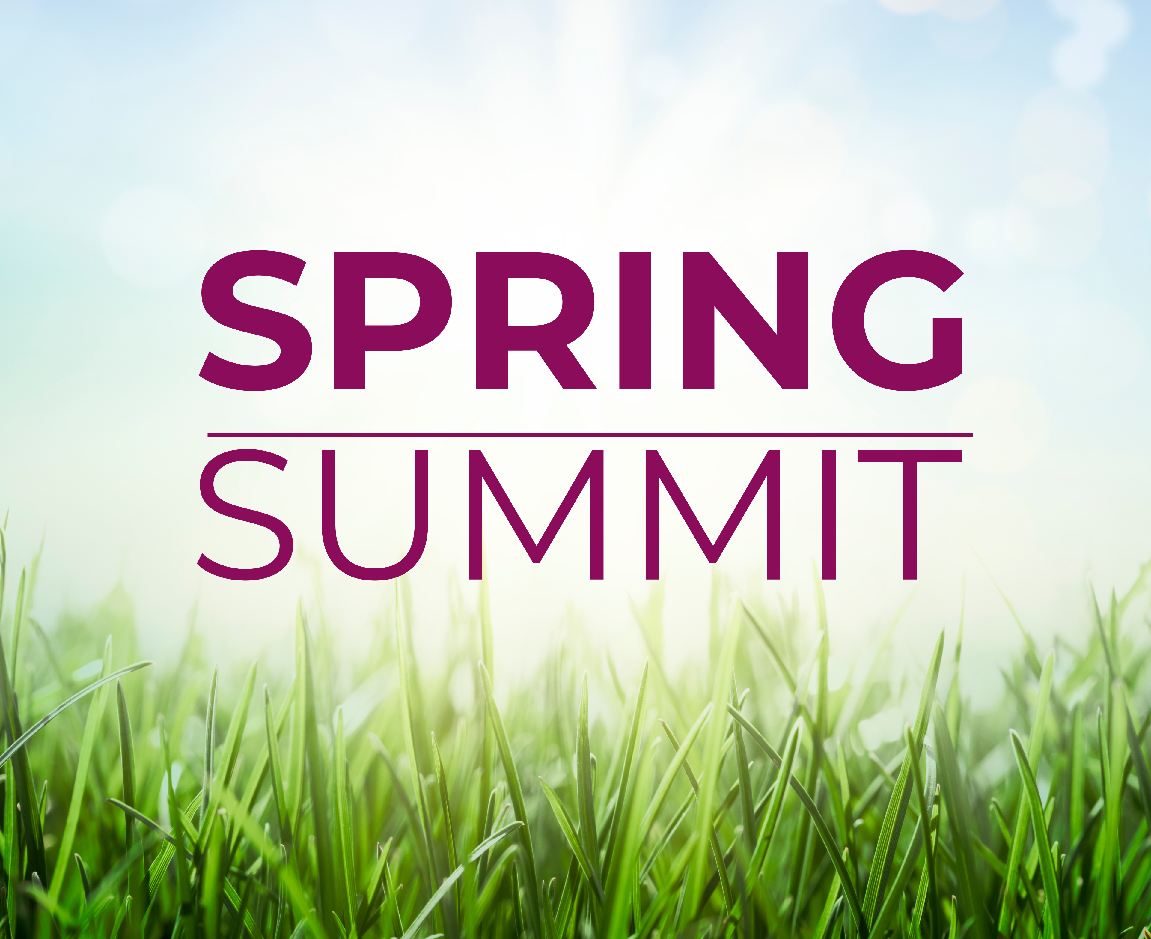 Big I Spring Summit