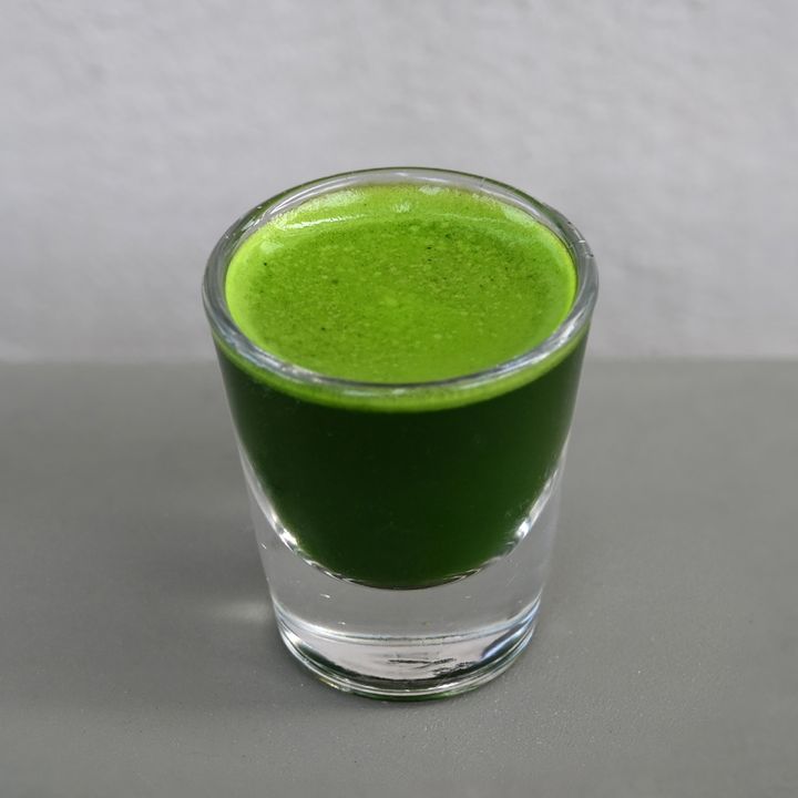Local Wheatgrass