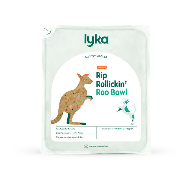 Life-changing dog food | Lyka Pet Food