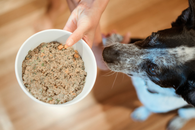 Dog food with human grade cheap ingredients