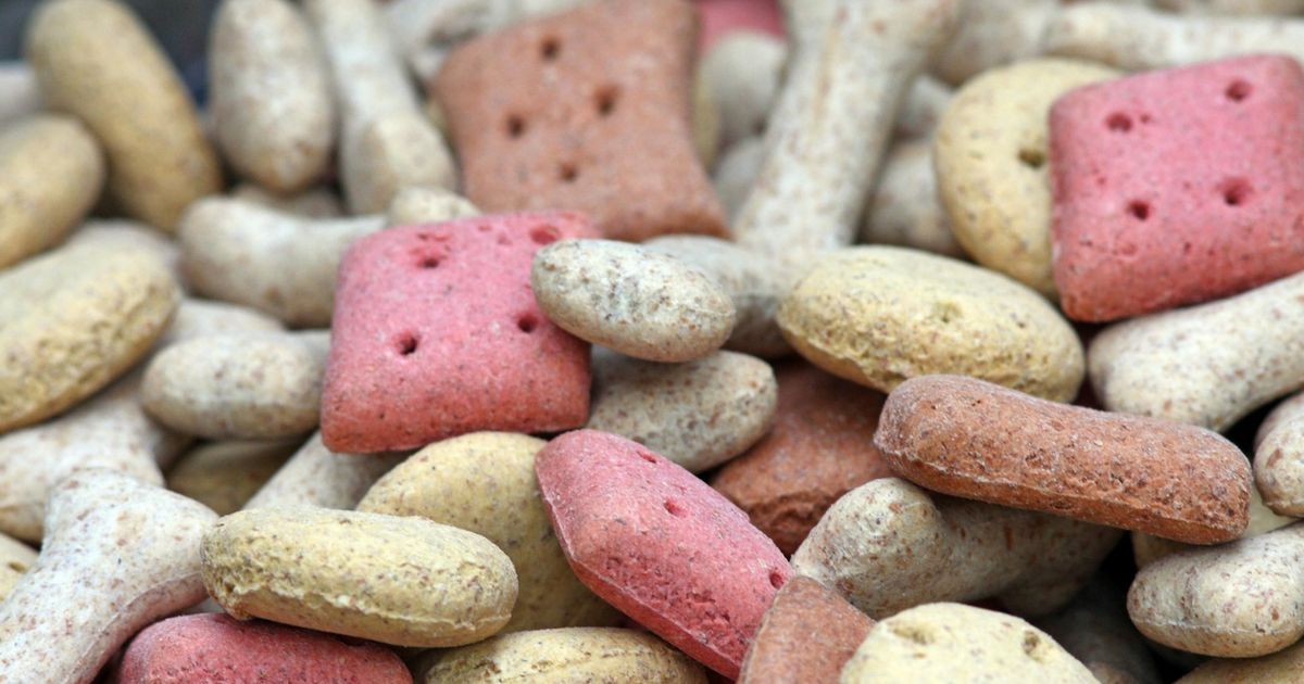 Shocking ingredients in petgrade dog food Lyka Blog