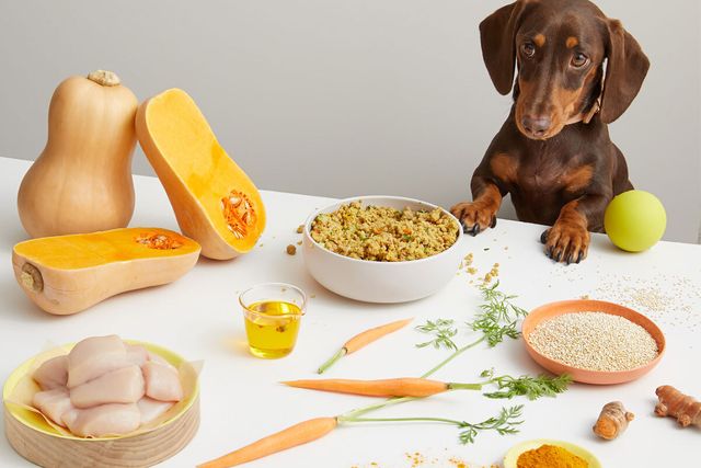 Brown Dachshund at table with Lyka and fresh ingredients