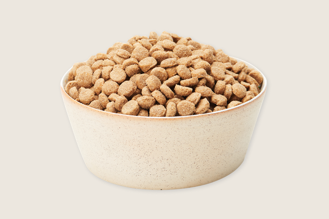 Bowl of kibble