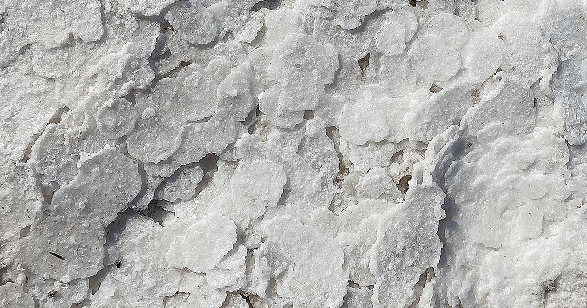 Celtic Sea Salt the best and safest option for your pup Lyka Blog