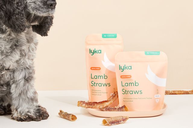 Dog-safe recipes to stuff inside your Lamb Straws | Lyka Pet Food