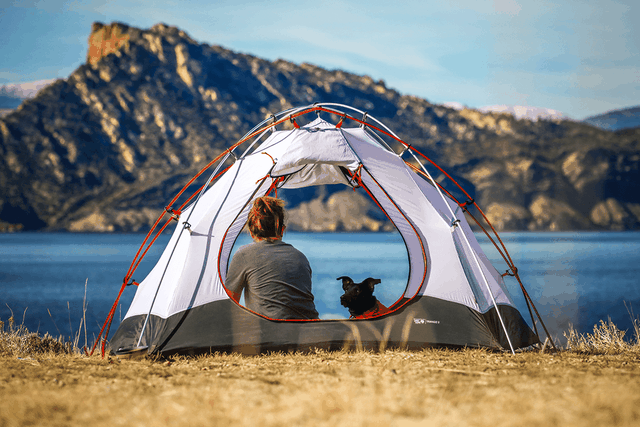 Get out of town: Dog-friendly campsites in Australia