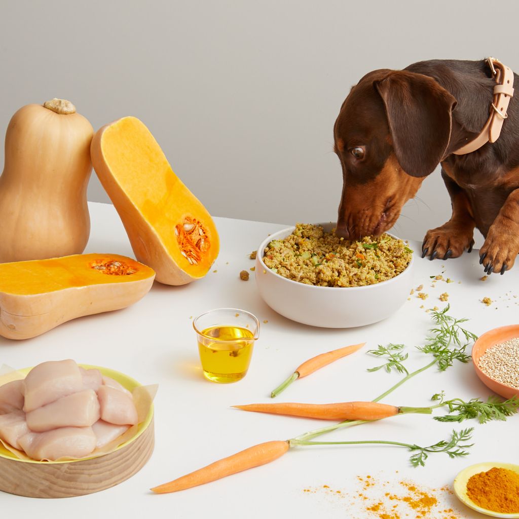 dog eating a bowl of Lyka turkey real food surrounded by fresh produce