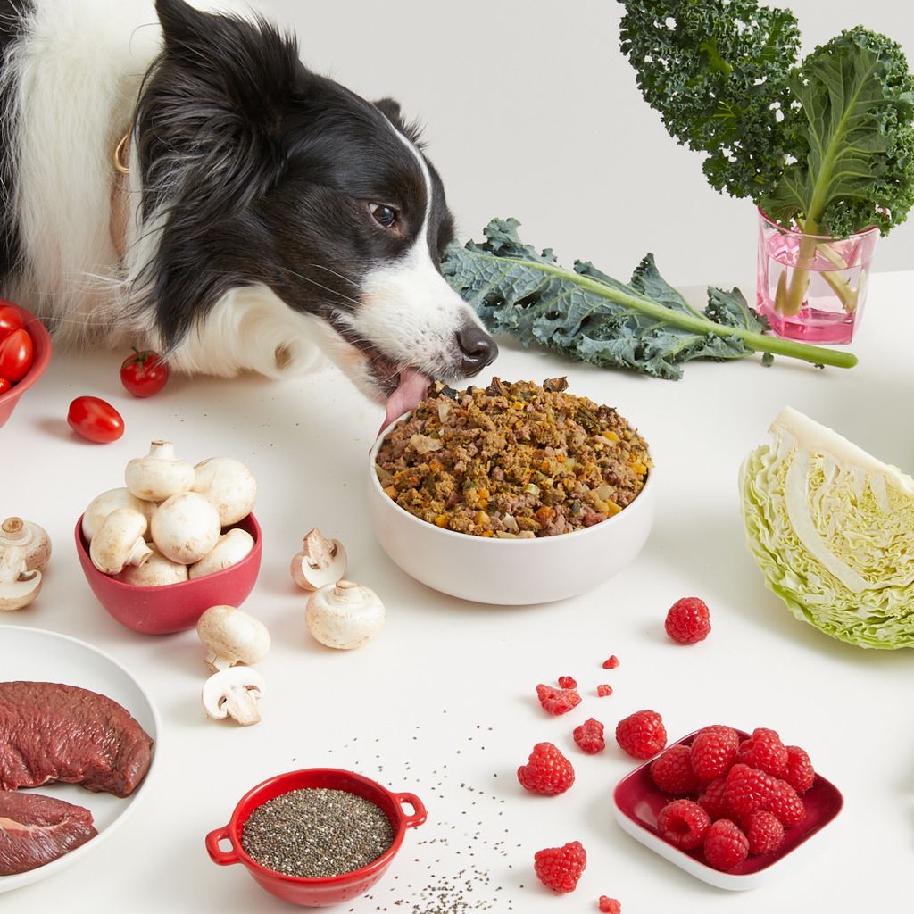 dog eating a bowl of Lyka kangaroo real food surrounded by fresh produce
