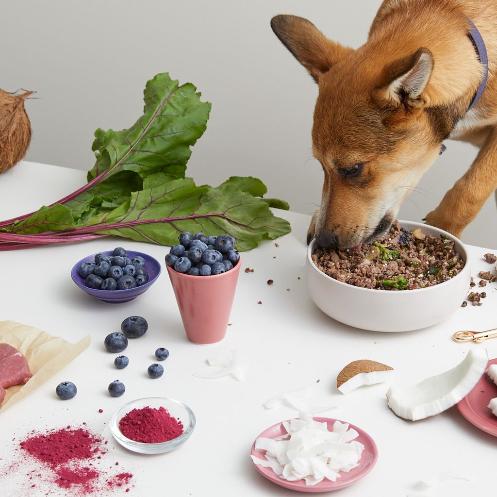 dog eating a bowl of Lyka lamb real food surrounded by fresh produce