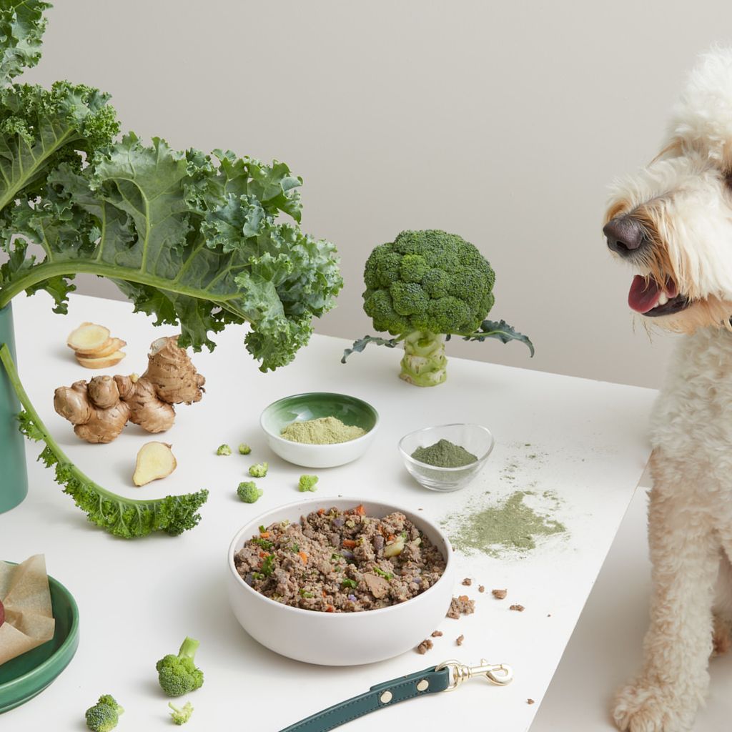 dog eating a bowl of Lyka beef real food surrounded by fresh produce