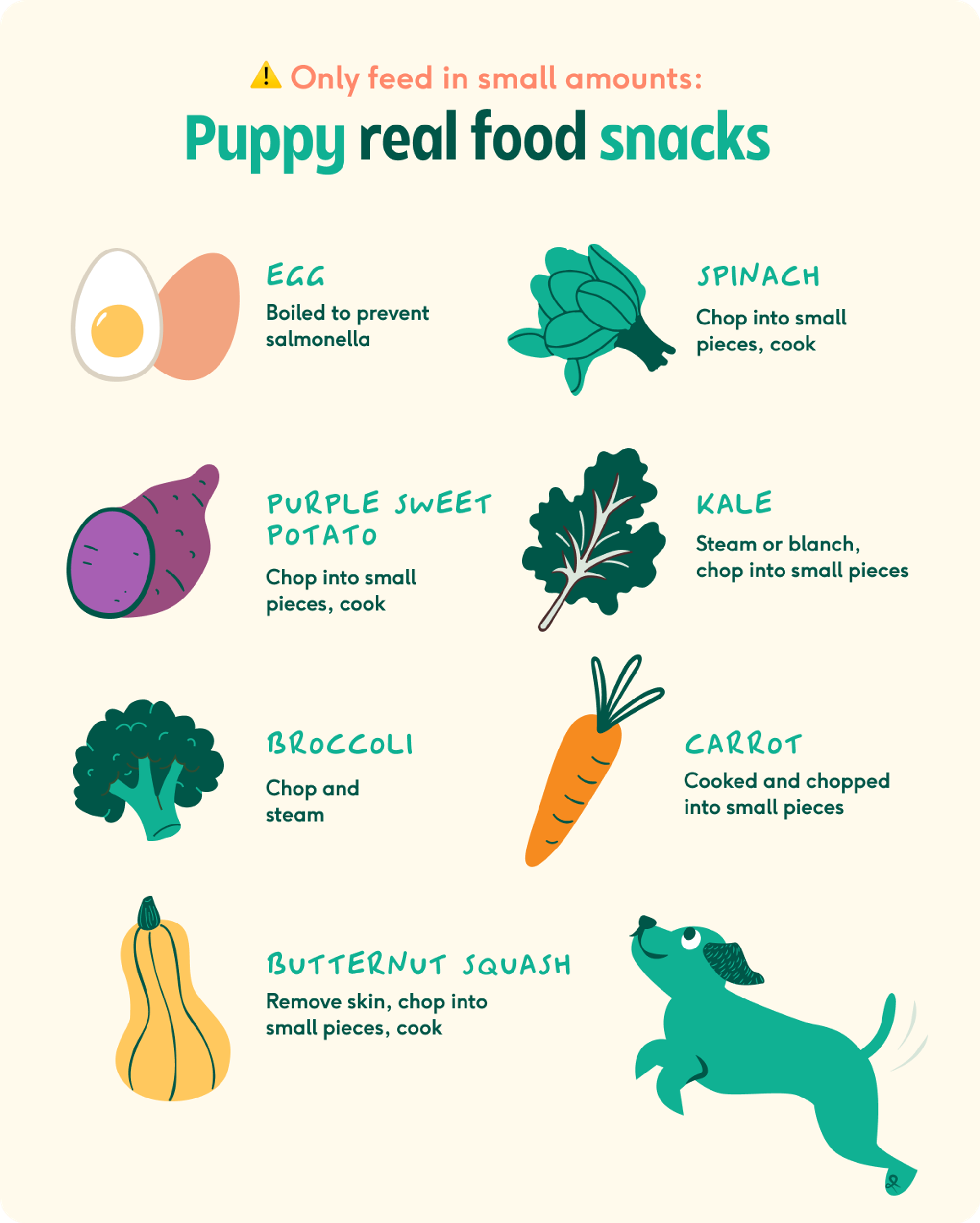 What should puppies eat Expert nutrition tips for optimal development Lyka Blog