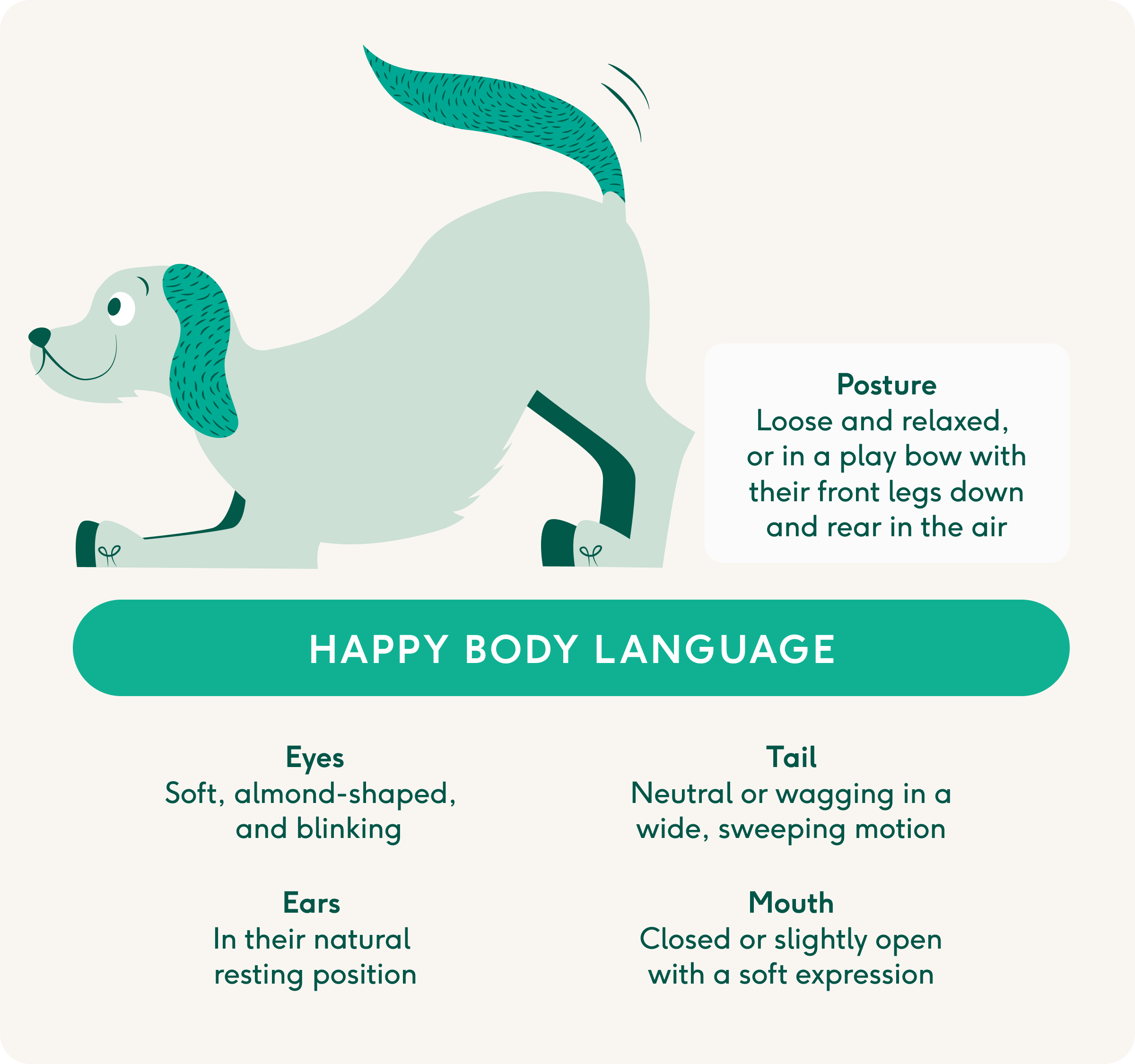 dog-body-language-chart-understanding-dog-body-language-in-senior-dogs