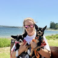 A person wearing sunglasses holds two small dogs, one in a pink harness and the other in an orange harness, sitting by the water on a sunny day.