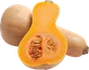 Butternut Squash