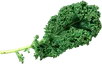 Kale