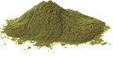Kelp