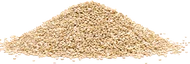 Quinoa