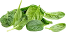 Spinach