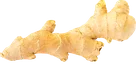 Ginger