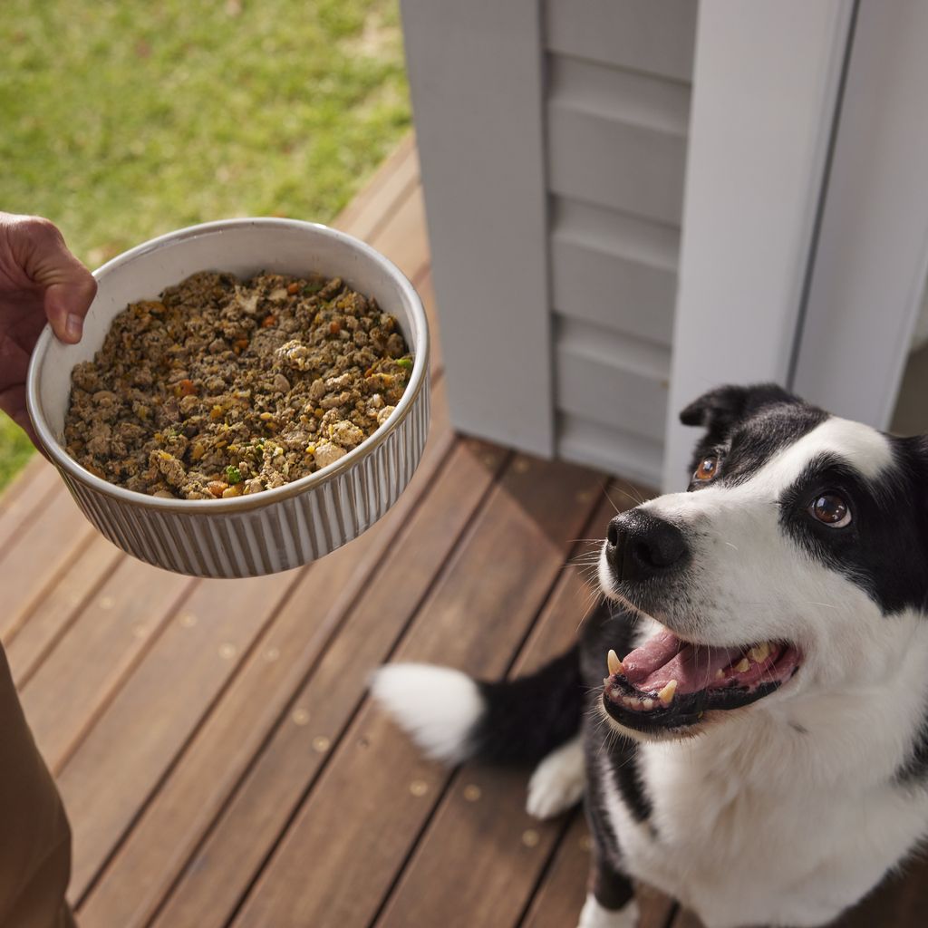 Anti inflammatory dog food for pancreatitis Lyka Pet Food