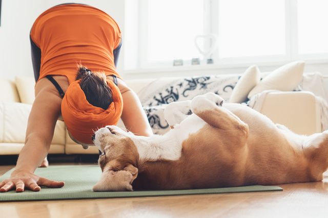 Woman and dog doing yoga