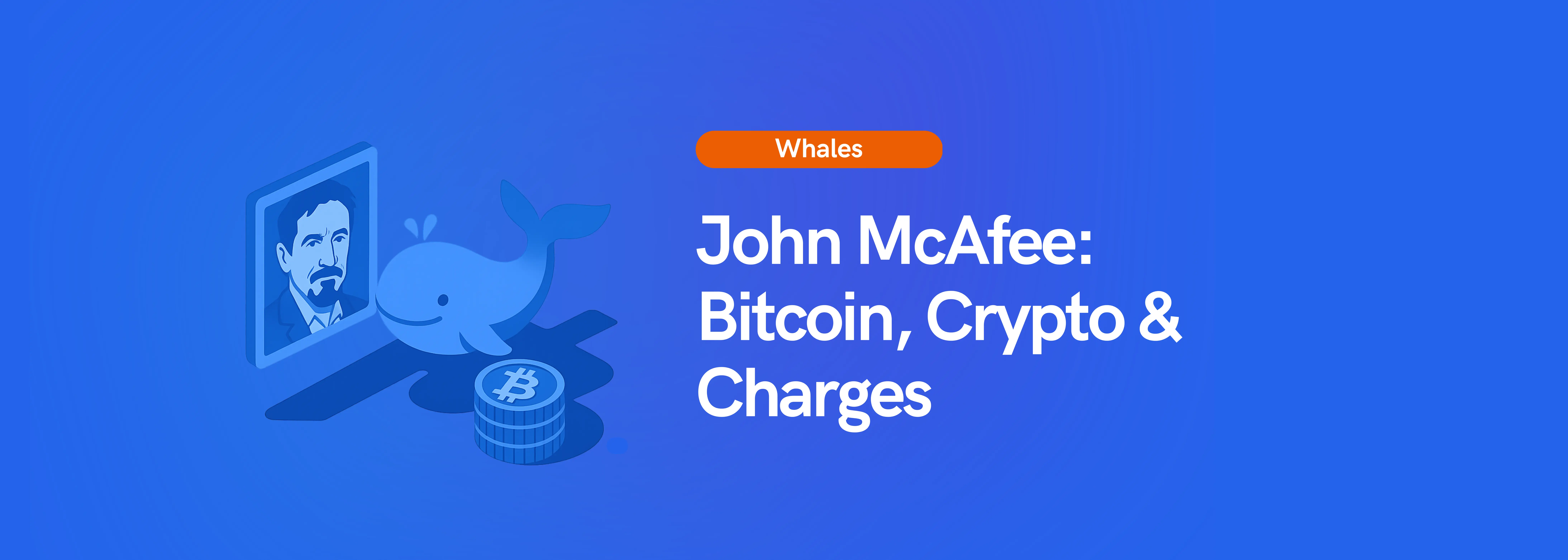 John McAfee: Bitcoin, Crypto & Charges | Koinly