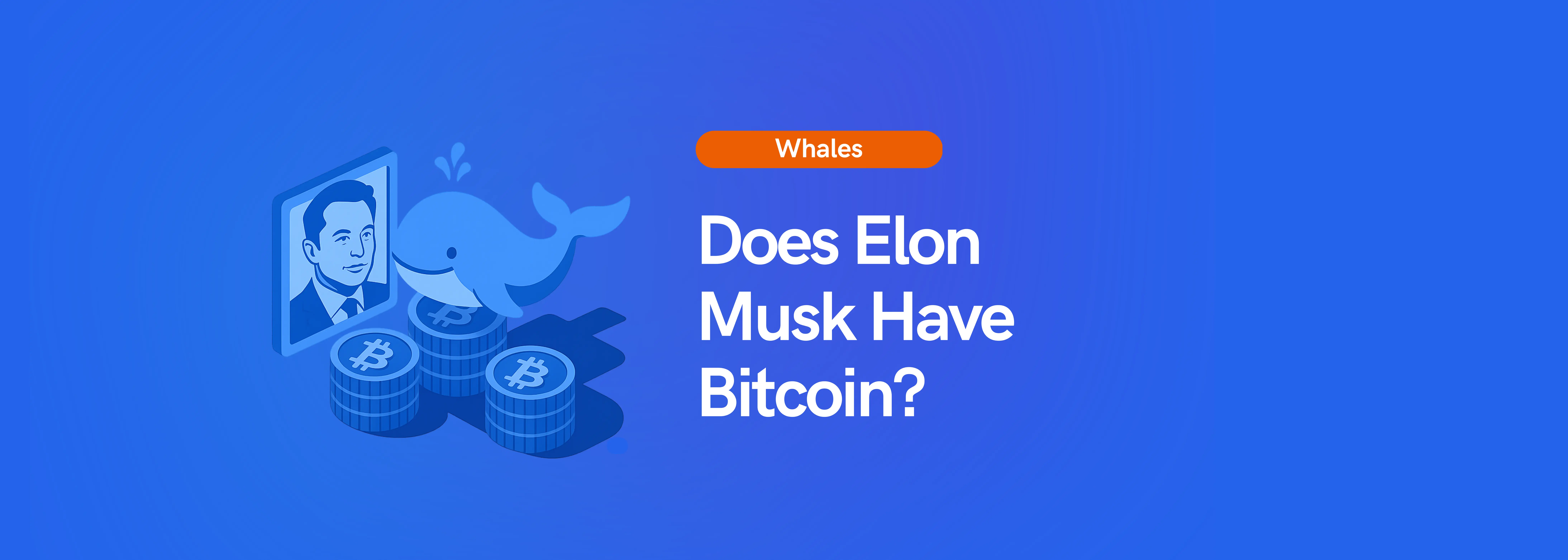 Does Elon Musk Have Bitcoin? | Koinly