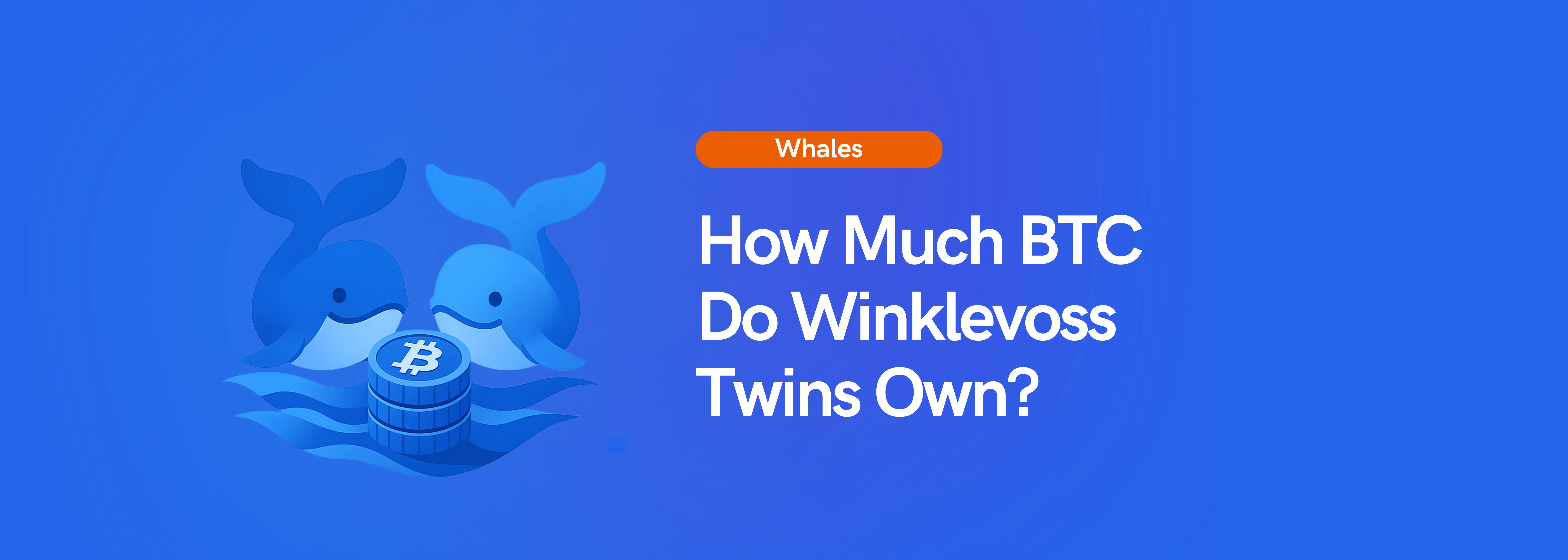 Winklevoss Bitcoin Holdings: How Much Do The Twins Own? | Koinly
