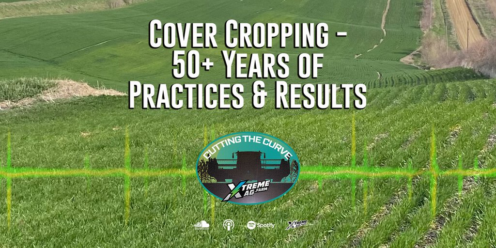 Effective Cover Cropping Strategies Unveiled